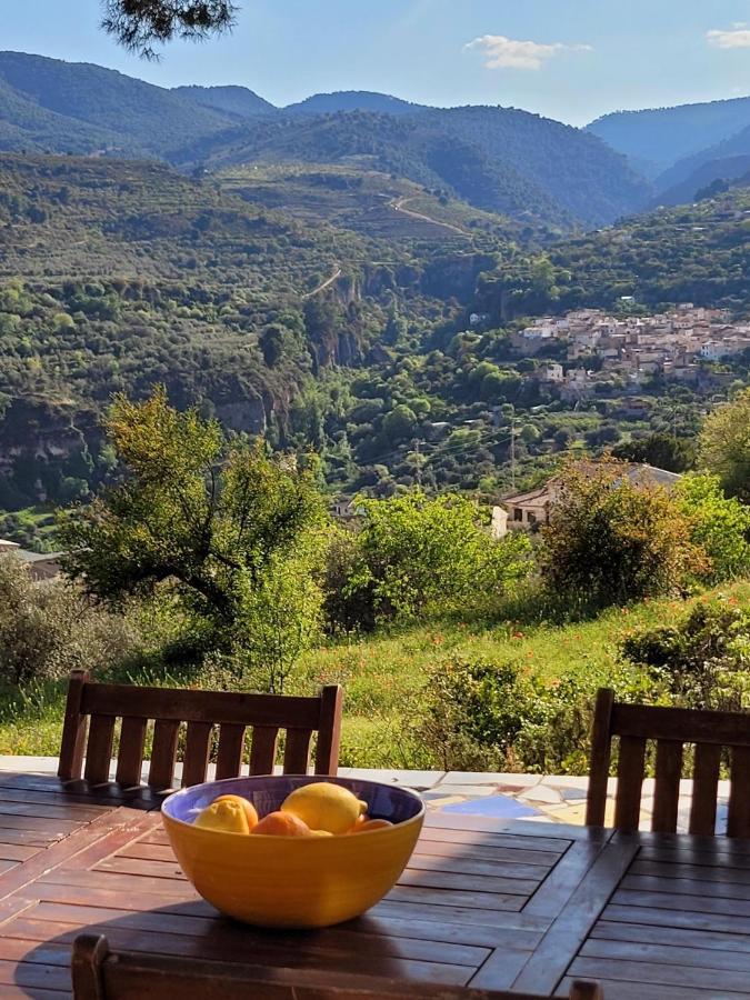 Cortijo El Pino Retreat Bed & Breakfast Albunuelas Exterior photo