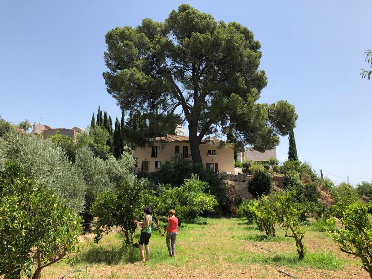 Cortijo El Pino Retreat Bed & Breakfast Albunuelas Exterior photo